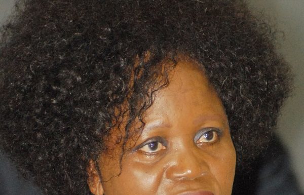 Mahama, Bawumia Won’t Die In 2019 – Adwoa Ntoso