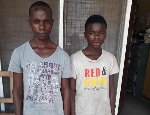Boy, 18, Jailed For Cutting Trees