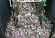 Photos: Hungry rat eat more than $17,500 of cash inside ATM
