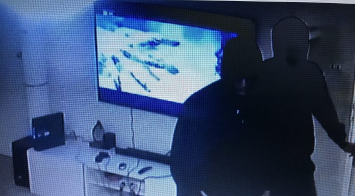 VIDEO: 2 men, 3 women sought in Philadelphia apartment killing of Junior US
