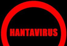 Hantavirus: Man dies in China after testing positive to another virus