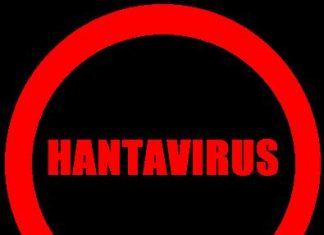 Hantavirus: Man dies in China after testing positive to another virus