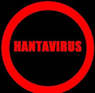 Hantavirus: Man dies in China after testing positive to another virus