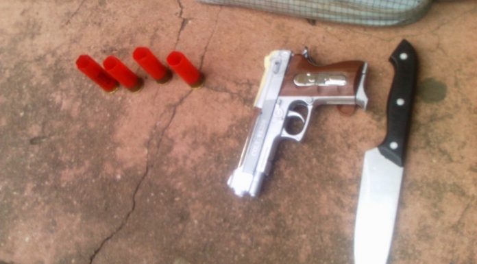 Four arrested for killing an elephant
