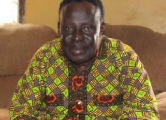 Osofo Dadze deserves state burial- Vida Adutwumwaa