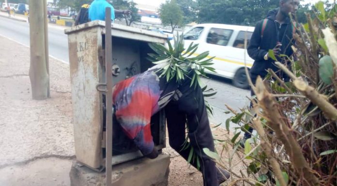 Photos: Suspected cable thief electrocuted inside transformer