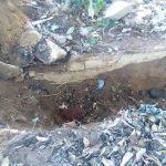 119917217_1223250854728775_2929947152928627237_n