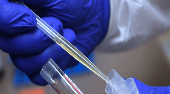 Moderna: Covid Vaccine Shows Nearly 95% Protection