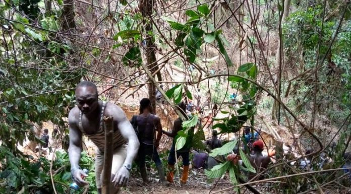 65 Illegal Miners Arrested In Atewa Forest at Akyem Akanteng Area – Forestry Officials