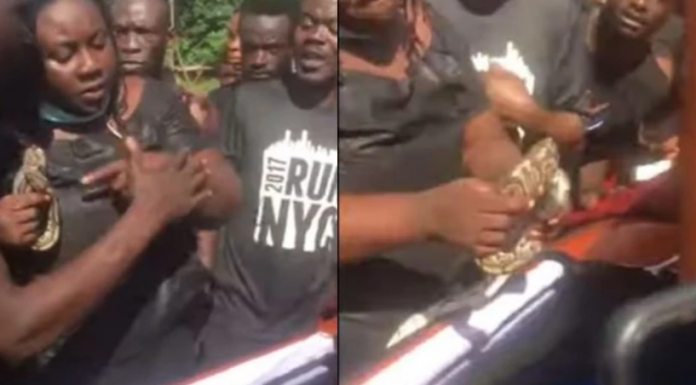 Ghanaian woman places python inside dead husband’s coffin to bid him farewell (video)