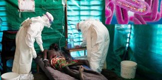 First Case Of Another Deadly Virus, Marburg, Confirmed In West Africa.