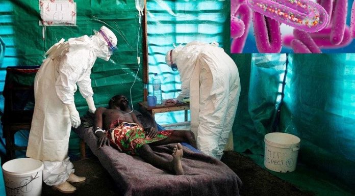 First Case Of Another Deadly Virus, Marburg, Confirmed In West Africa.