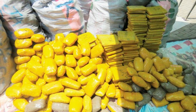 Cannabis worth Gh¢6.84 Million Seized By NACOC.