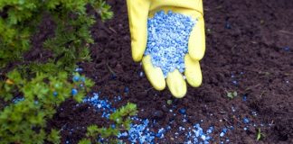 ‘ I Wanted To Establish A Fertilizer Manufacturing Factory But The Agric Minister Didn’t Permit Me’ – Entrepreneur.