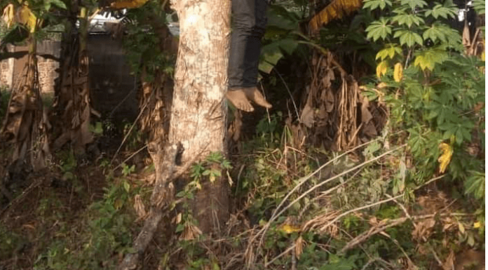 Man Allegedly Murders Wife And Hangs Himself Afterwards.