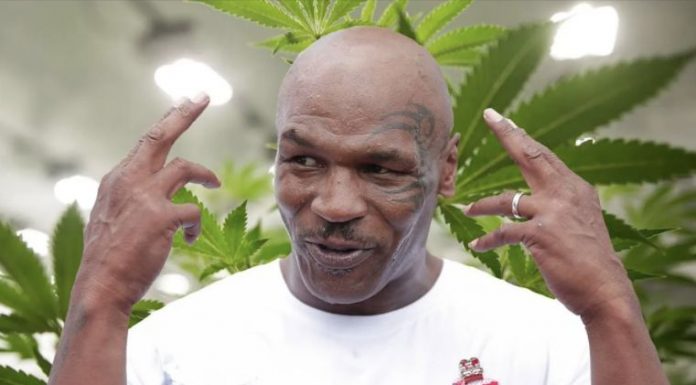 Malawi writes to Mike Tyson to be its cannabis ambassador