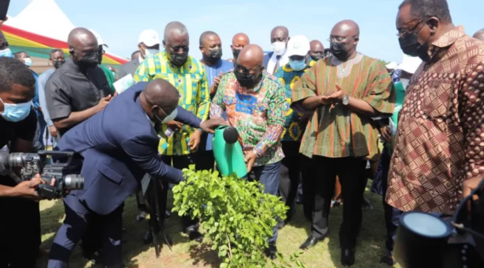 Planting 20 million trees attainable, let’s join forces to achieve it-Akufo-Addo to Ghanaians
