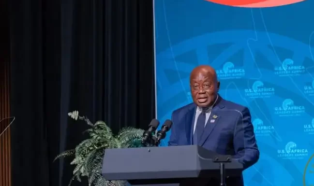Make Africa a place of investment, prosperity – Akufo-Addo urges continent’s leaders, partners