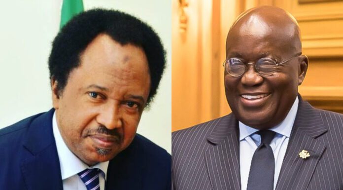 You’re taking IMF loan yet calling on Africans to stop begging – Ex-Nigerian senator blasts Akufo-Addo