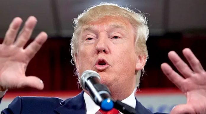 ‘The Only Crime That I’ve Committed Is To Fearlessly Defend Our Nation’ – Trump Cries Out