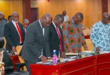 Minority suspends planned protest against BoG Governor