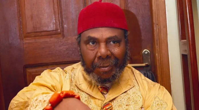 You are not a man if you beat a woman- Pete Edochie