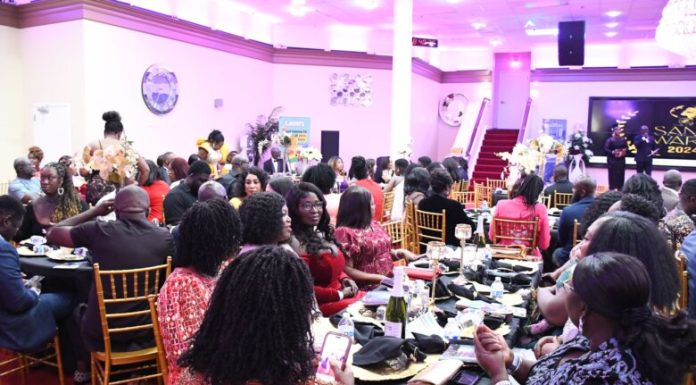 Maiden Sankofa African Network Impact Awards (SANIA) held in Virginia
